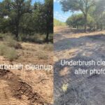 Cleared land in front of a home site