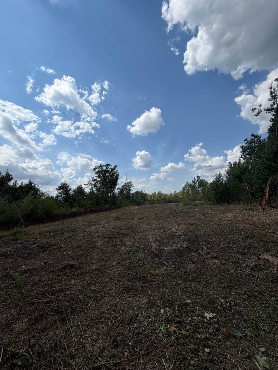 After: cleared land after forestry mulching, job 2