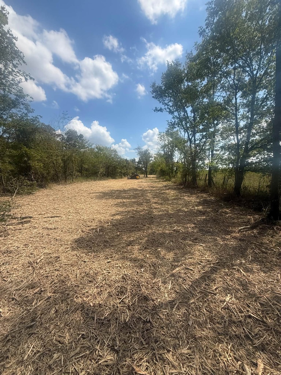 After: cleared land after forestry mulching, job 3