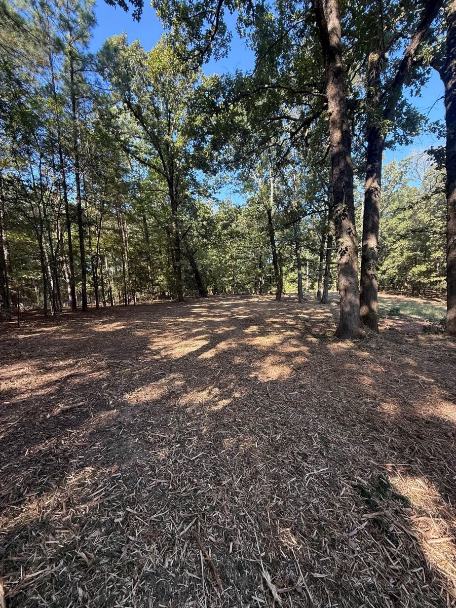 After: cleared land after forestry mulching, job 4