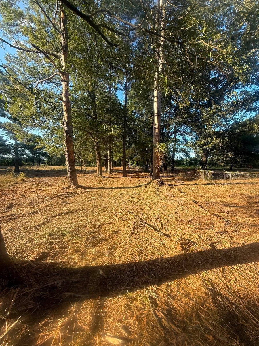 After: cleared land after forestry mulching, job 5